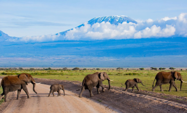 Amboseli, 2 Nights