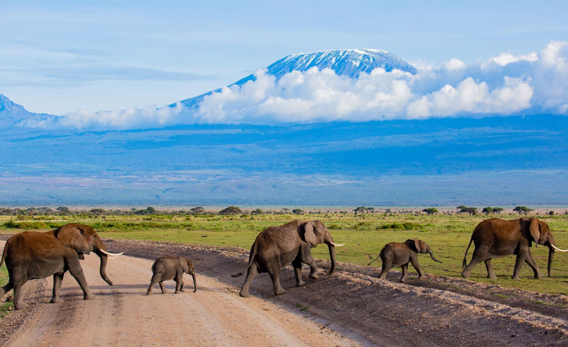 Amboseli