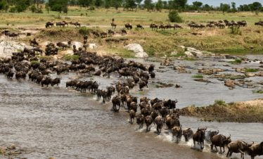 Serengeti National Park
