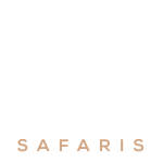 Robust-Safaris-logo-White-edit